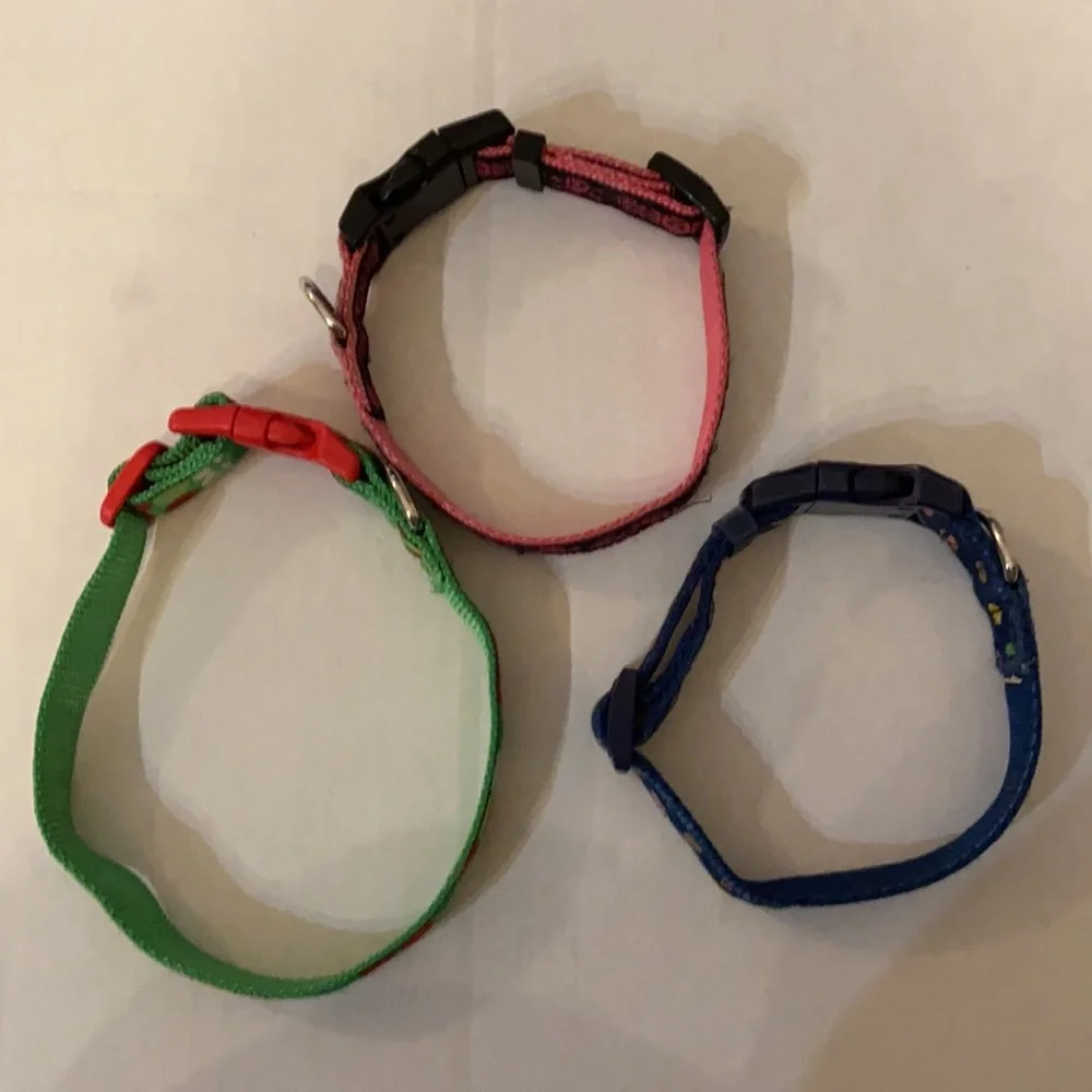 Dog Collar and Small Tie-Out